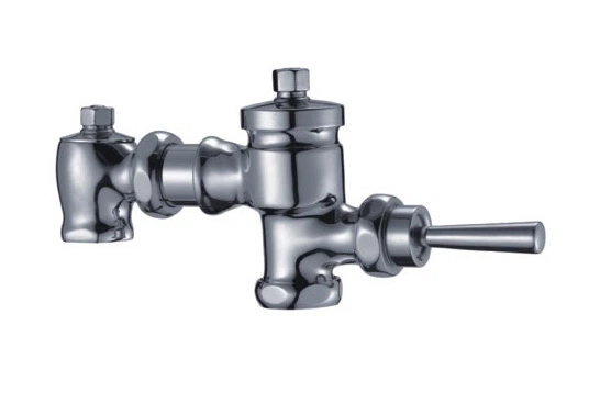 Comhla Flush Leithris Lámhleabhar Closet